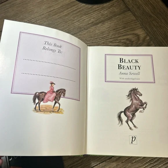 Black Beauty by Anna Sewell - Illustrated Edition - Picture 5 of 6